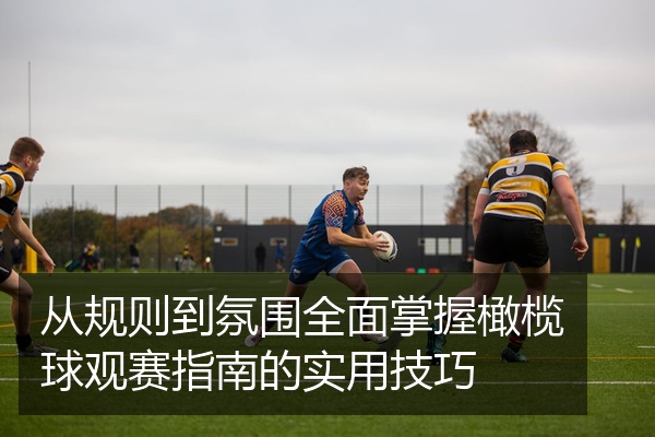 从规则到氛围全面掌握橄榄球观赛指南的实用技巧
